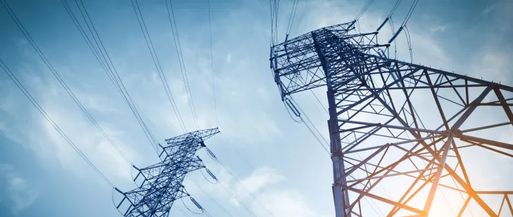 Zarządzanie majątkiem sieciowym